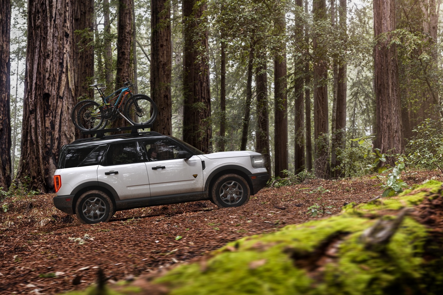 Bronco in the forest 4x4