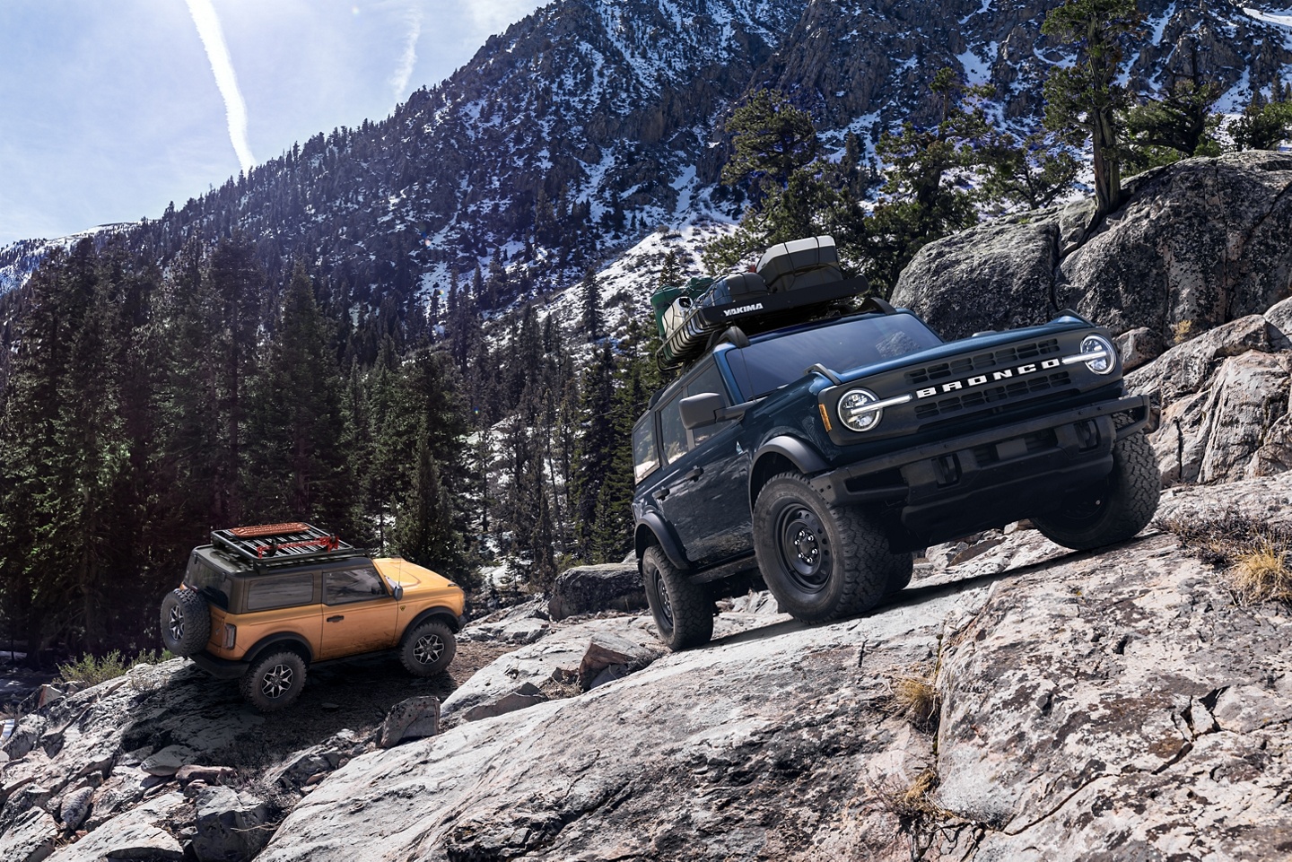 Bronco